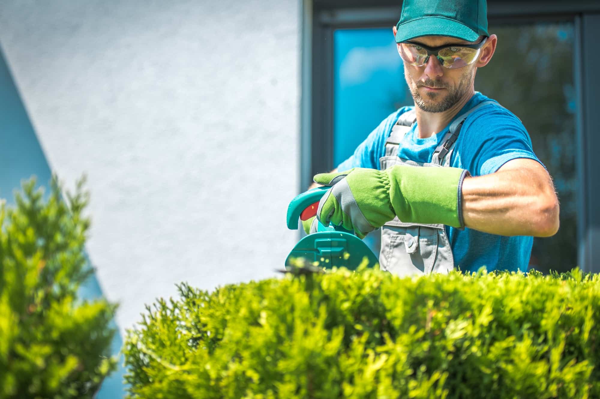 Jardinier taillant un d'arbuste