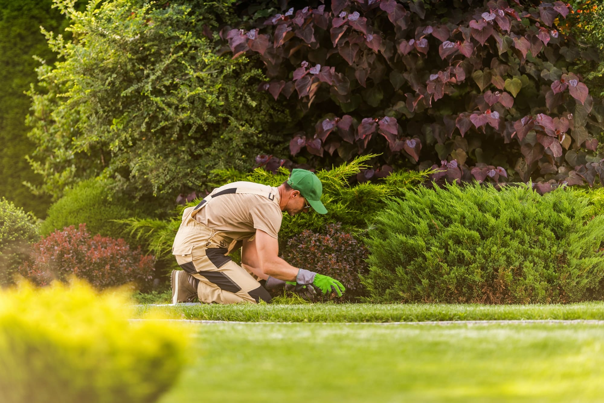 Jardinier qui désherbe le jardin